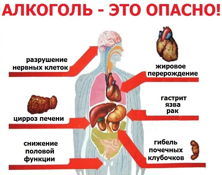 Алкоголю - нет!.